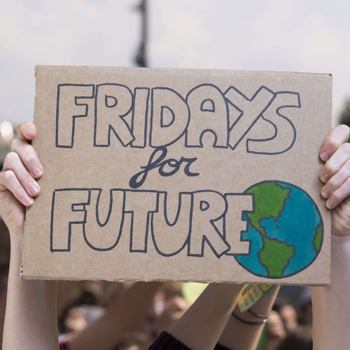 Das Bild zeigt ein hochgehaltenes 'Fridays for future' - Plakat. ©AdobeStock / Nicola