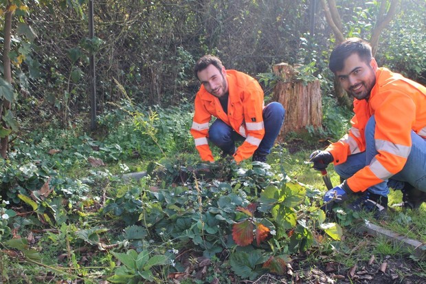 Zwei FÖJler mit Fluchthintergrund bei der Arbeit im Garten. © Ökologische Freiwilligendienste Koppelsberg